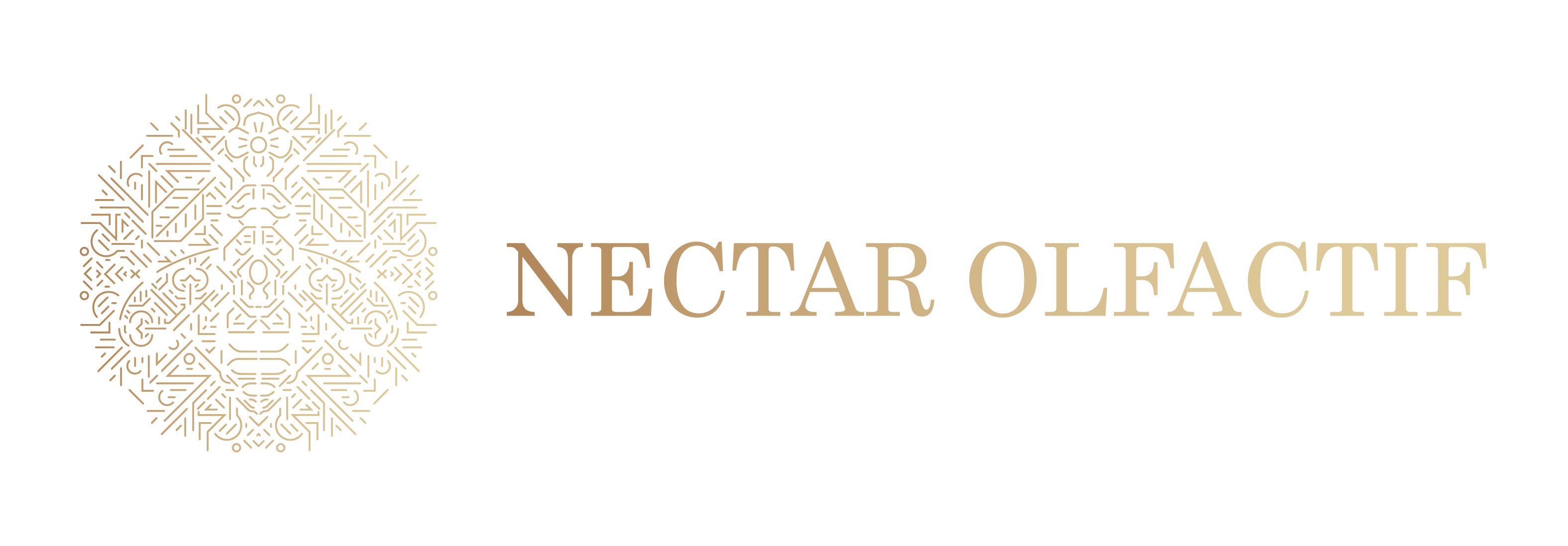 o.5776.jpg